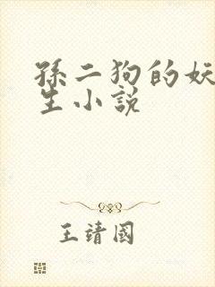 孙二狗的妖孽人生小说