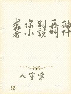 求你别再抽了原著小说叫什么