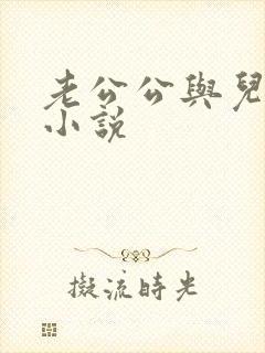 老公公与儿媳妇小说封面