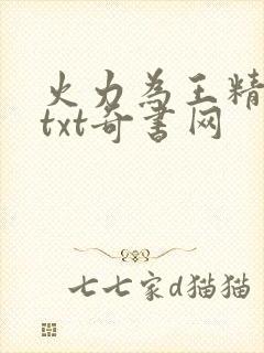 火力为王精校版txt奇书网封面