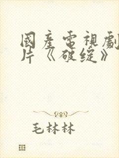 国产电视剧谍战片《破绽》免费观看