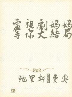 电视剧妈妈在家等你大结局封面