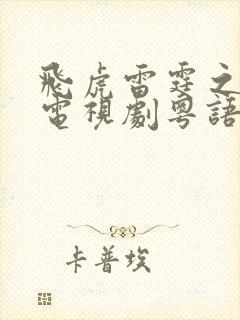 飞虎雷霆之极战电视剧粤语版