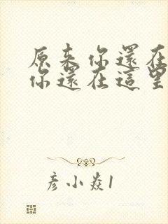 原来你还在原来你还在这里封面