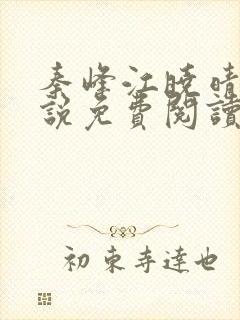 秦峰江晓晴的小说免费阅读