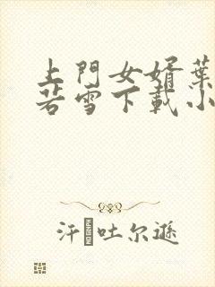 上门女婿叶凡唐若雪下载小说封面