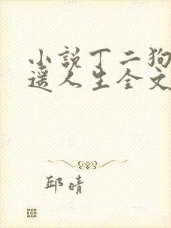 小说丁二狗的逍遥人生全文