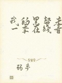 我的黑帮老大第一季在线看免费高清