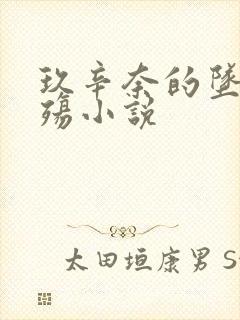 玖辛奈的坠落浮殇小说