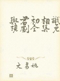 与君初相识 电视剧全集免费观看