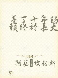 养了十年的小丫头终于长大了