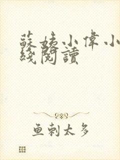 苏姨小伟小说在线阅读