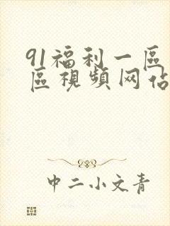 91福利一区二区视频网站