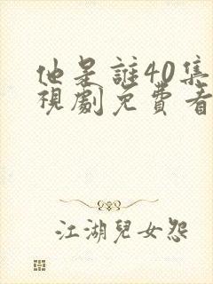 他是谁40集电视剧免费看全集封面