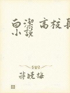 白洁 高校长 小说
