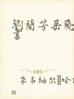 刘兰芳岳飞传评书