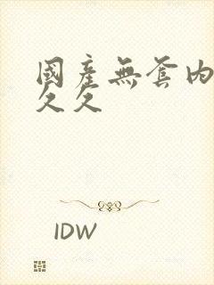 国产无套内射国久久