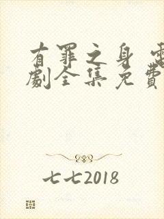 有罪之身 电视剧全集免费观看封面