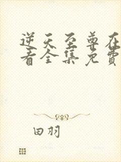 逆天至尊在线观看全集免费观看动漫封面