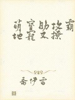 萌宝助攻霸道爹地宠又撩