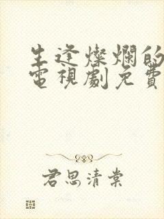 生逢灿烂的日子电视剧免费观看剧情