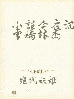 小说今夜沉醉段雪娇林杰