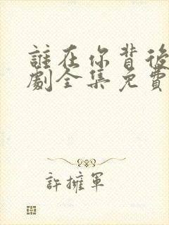 谁在你背后电视剧全集免费观看