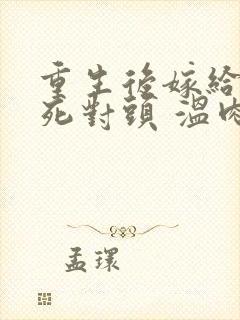 重生后嫁给渣男死对头 温肉肉