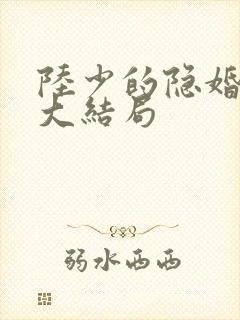 陆少的隐婚罪妻大结局封面