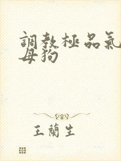 调教极品气质小母狗