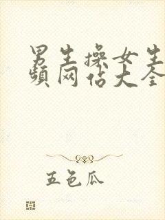 男生操女生的视频网站大全