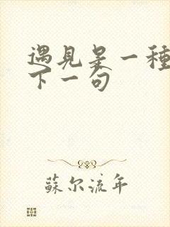 遇见是一种幸运下一句