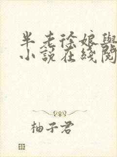 半老徐娘与女婿小说在线阅读