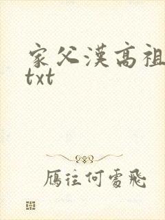 家父汉高祖小说txt