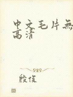 中文毛片无遮挡高清