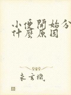 小便开始分叉是什么原因