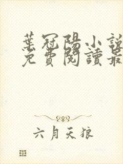 叶冠阳小说全文免费阅读最新章节