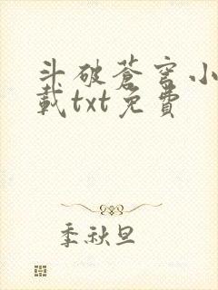 斗破苍穹小说下载txt免费封面