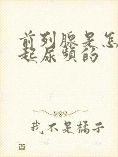 前列腺是怎么引起尿频的封面