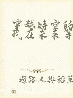 穿越时空的少女我在未来等你封面