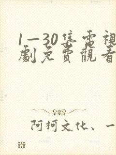 1—30集电视剧免费观看