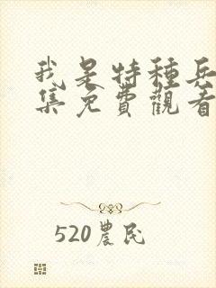 我是特种兵40集免费观看电视剧