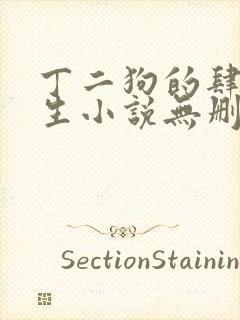 丁二狗的肆意人生小说无删减下载