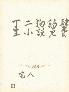 丁二狗的肆意人生小说免费1封面