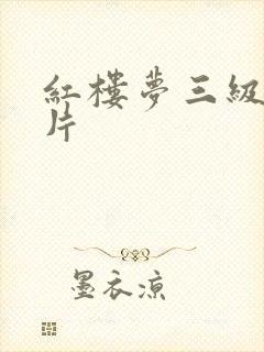 红楼梦三级黄色片