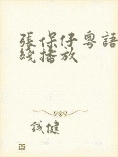 张保仔粤语版在线播放封面