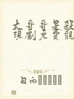 大哥哥是杀手电视剧免费观看全集高清