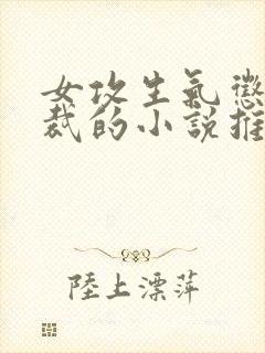 女攻生气惩罚总裁的小说推荐