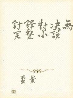 针锋对决无删减完整小说封面