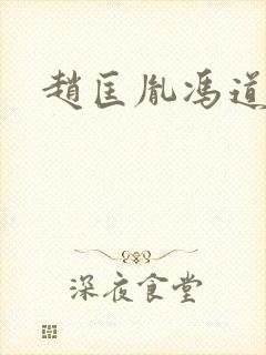 赵匡胤冯道封面